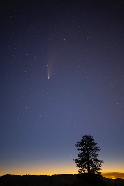 有关剪影, 夜空, 天性的免费素材图片