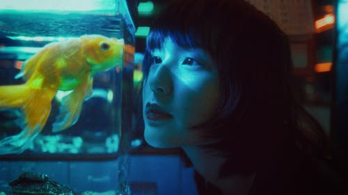 族裔女人看着水族馆里的鱼 · 免费素材图片