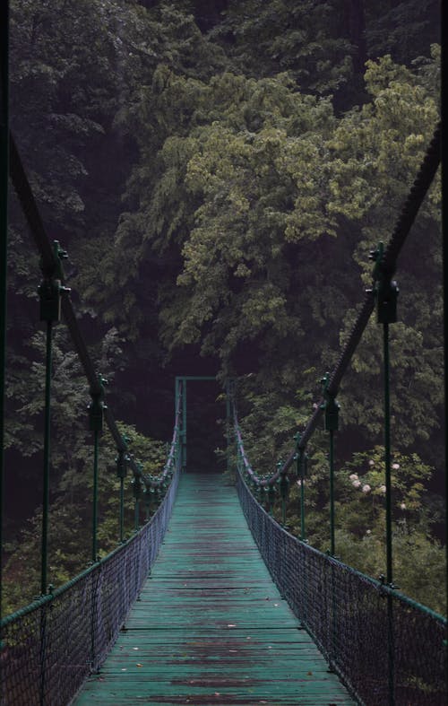 有关元素, 冷静, 原本的免费素材图片