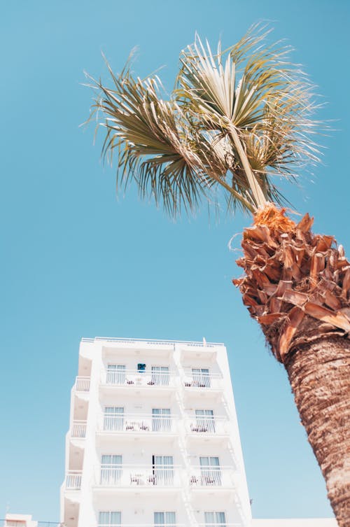 有关低角度拍攝, 垂直拍摄, 建築物正面的免费素材图片