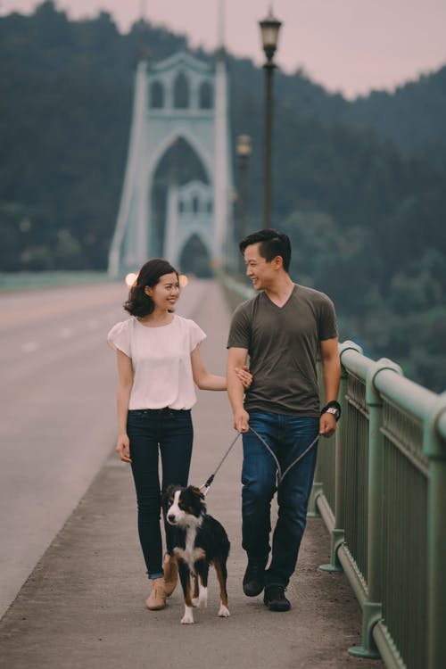 男人和女人在黑色和白色的短涂层小狗的桥上行走 · 免费素材图片