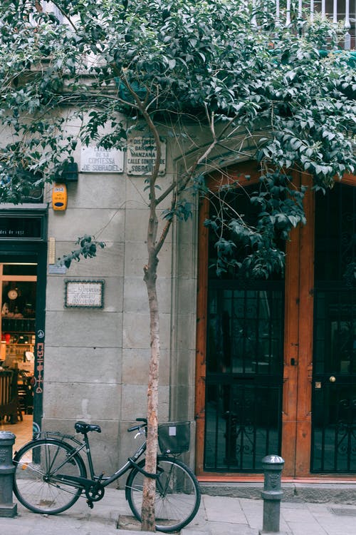 绿树附近的棕色木门 · 免费素材图片