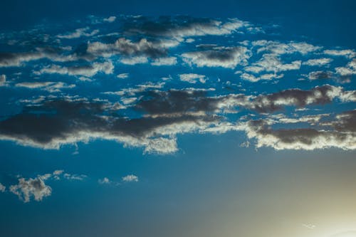 有关从下面, 低角度, 充满活力的免费素材图片