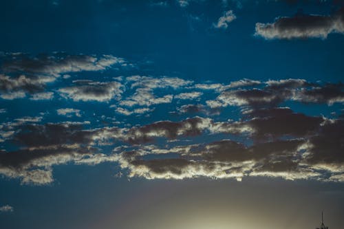 有关从下面, 低角度, 充满活力的免费素材图片