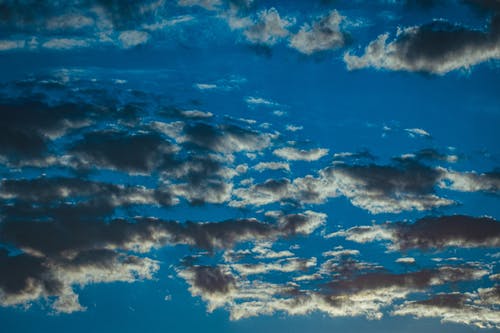 有关从下面, 低角度, 充满活力的免费素材图片