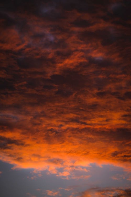 有关从下面, 低角度, 佩服的免费素材图片