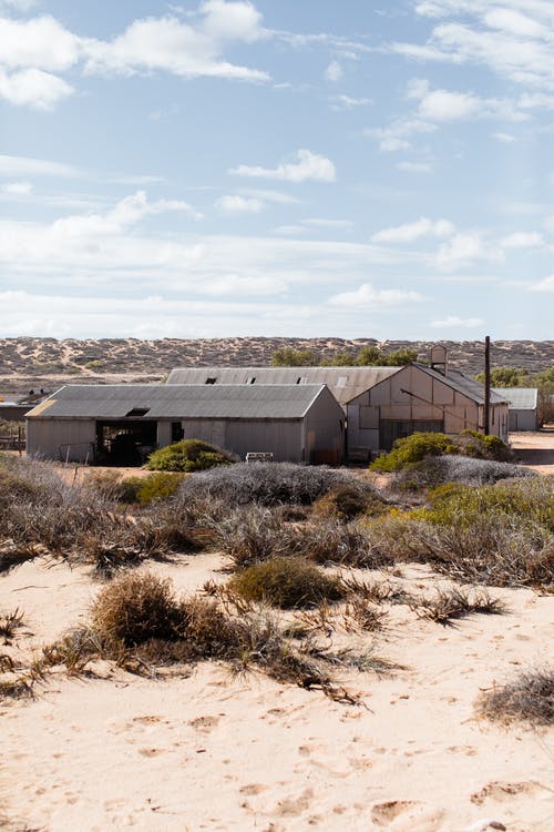 有关乾旱, 乾的, 住的免费素材图片