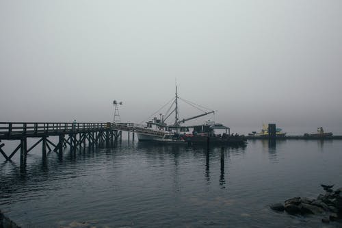 有关Copyspace, 冷静, 单色的免费素材图片