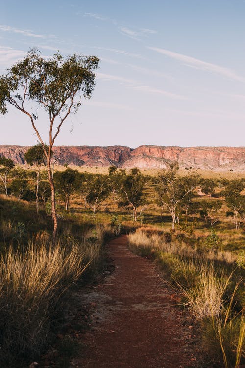 有关不变, 乾的, 和平的的免费素材图片