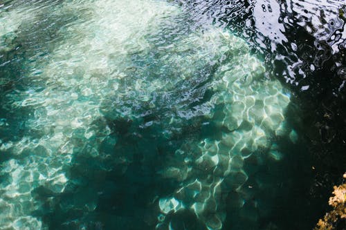 绿松石水在阳光下的池塘 · 免费素材图片