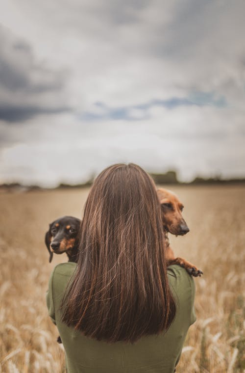 有关一起, 不露面, 伴侣的免费素材图片