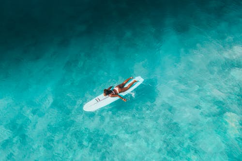 有关冲浪女孩, 夏威夷, 天堂的免费素材图片