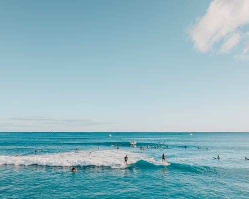 有关夏威夷, 天堂, 岛上的生活的免费素材图片
