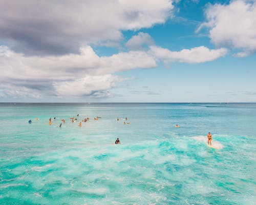 有关夏威夷, 天堂, 岛上的生活的免费素材图片
