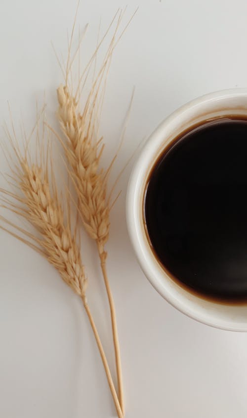 有关Flatlay, 一般开销, 乾的的免费素材图片