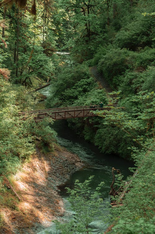 有关pnw, 人行天橋, 俄勒岡州的免费素材图片