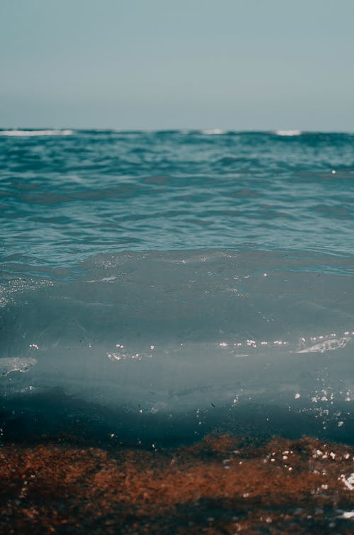有关冷静, 华丽的, 和平的免费素材图片