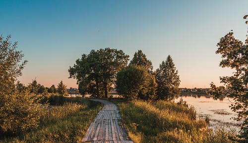 有关公园, 原本, 和平的的免费素材图片