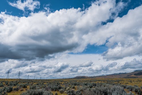 有关冷静, 华丽的, 和平的的免费素材图片