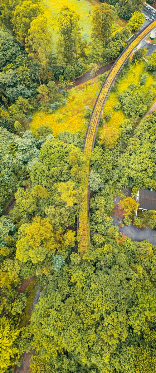 有关住宅, 分公司, 原本的免费素材图片