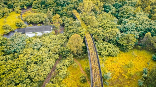 有关增长, 壮观, 夏天的免费素材图片