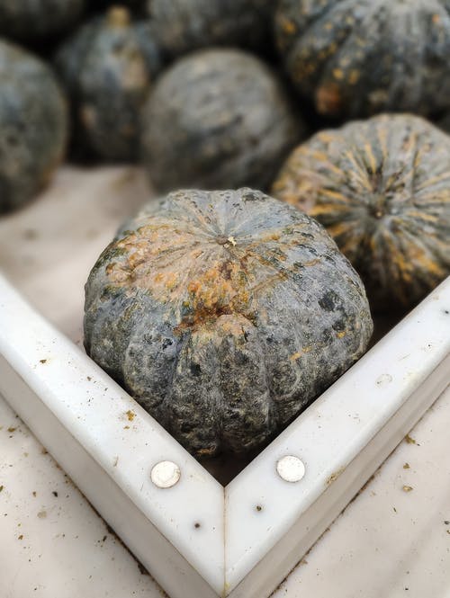 有关不均匀的, 乾的, 剥皮的免费素材图片