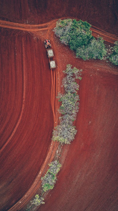 有关俯视图, 农艺学, 冷静的免费素材图片