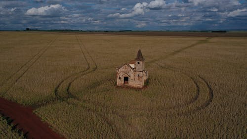 有关和平的, 增长, 夏天的免费素材图片
