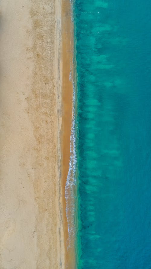 有关不变, 休息, 俯视图的免费素材图片