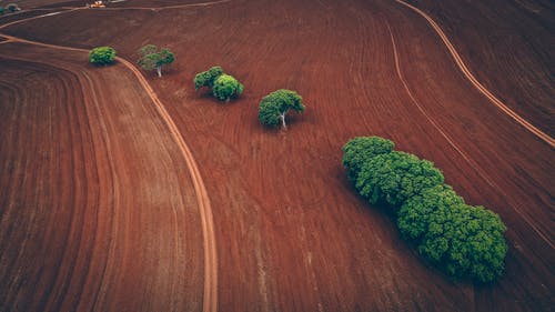 有关乾的, 农艺学, 冷静的免费素材图片