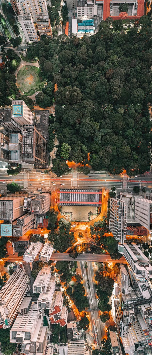 有关中央, 光, 公园的免费素材图片