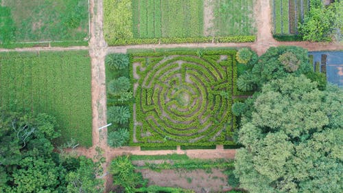 有关一般开销, 俯视图, 冷静的免费素材图片