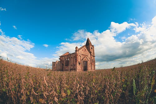 有关信仰, 传统, 冷静的免费素材图片