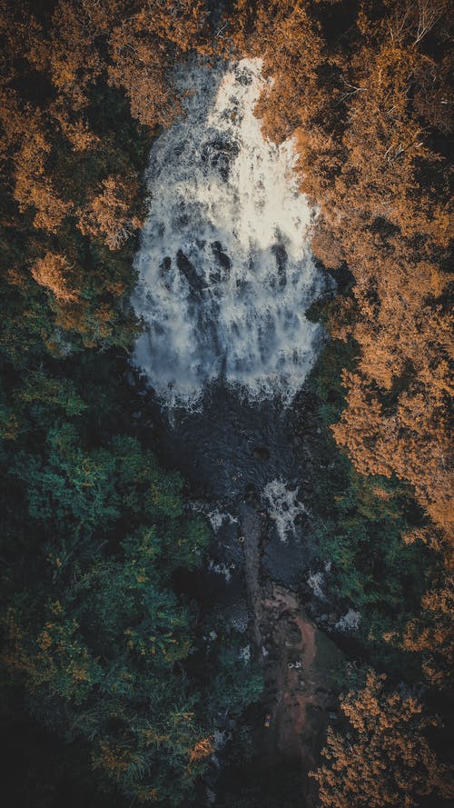 有关下落, 充满活力, 全景的免费素材图片