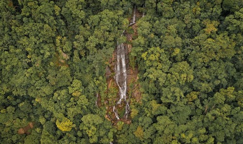 有关下落, 充满活力, 和平的免费素材图片