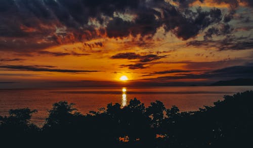 有关分公司, 剪影, 反射的免费素材图片