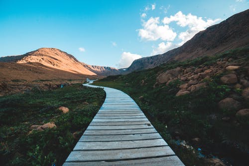 有关冒险, 冷静, 卵石的免费素材图片