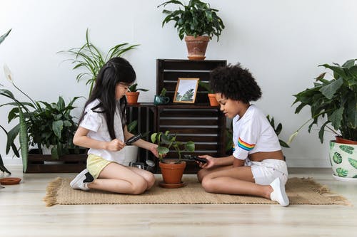 多样的女孩照顾植物 · 免费素材图片