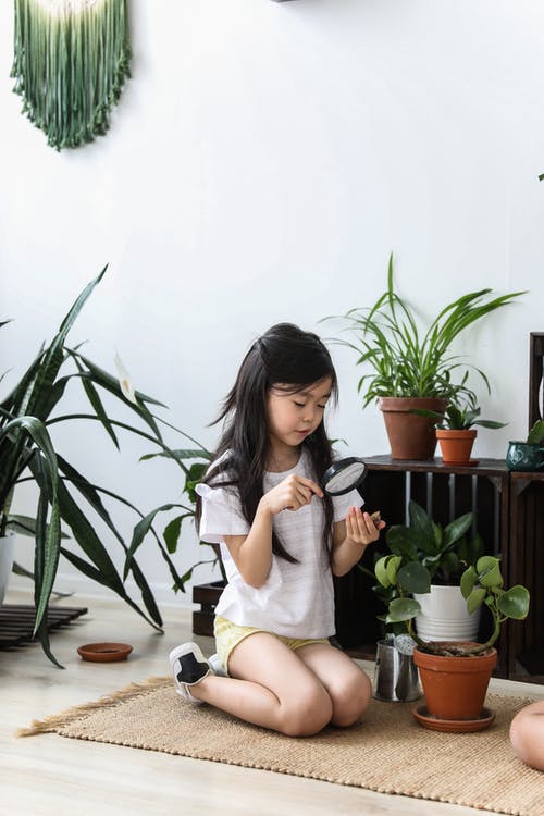 可爱的亚洲女孩，调查盆栽植物的叶子 · 免费素材图片