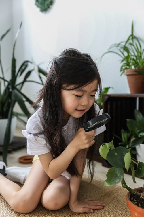 可爱的小亚洲女孩检查盆栽的植物 · 免费素材图片