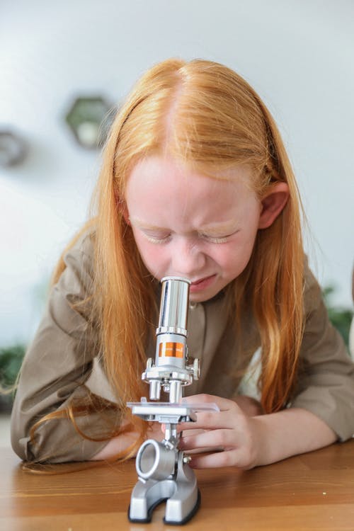 在科学课上使用显微镜的集中的孩子 · 免费素材图片