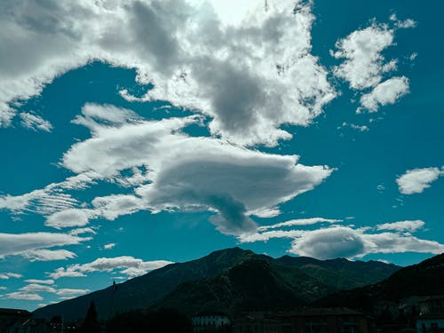 有关住, 僵硬, 冷静的免费素材图片