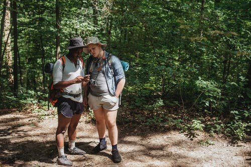 在森林里徒步旅行期间与朋友分享智能手机的黑人游客 · 免费素材图片