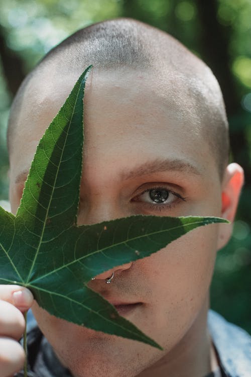 冷静的家伙，用枫香戟兰树叶遮住眼睛 · 免费素材图片