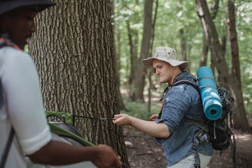 作物多样化的背包客在树林里搭帐篷 · 免费素材图片