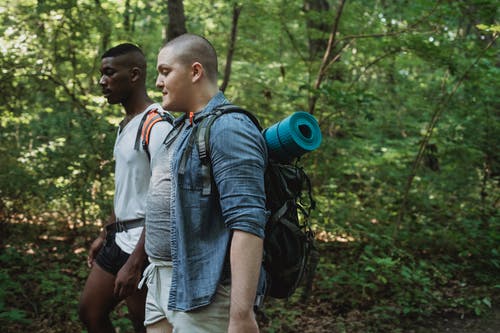 朋友在绿色森林里徒步旅行 · 免费素材图片