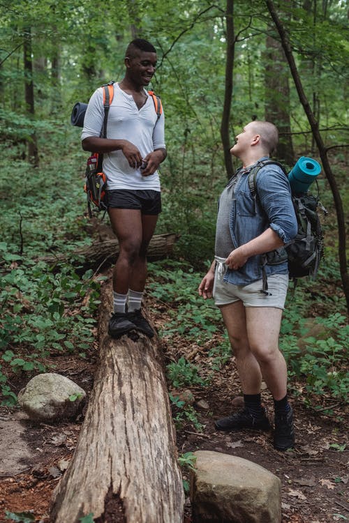 微笑在森林里徒步旅行的多民族徒步旅行者 · 免费素材图片