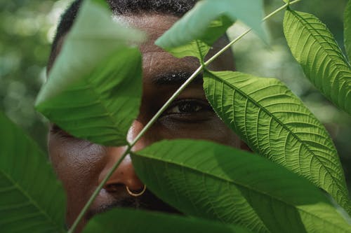 站在绿色的植物后面的作物黑人男子在森林中的叶子 · 免费素材图片