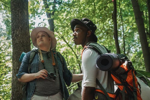 男性游客与复古相机站在森林里的朋友旁边 · 免费素材图片
