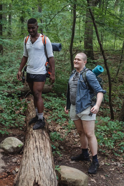 白天在森林里快乐的多样朋友 · 免费素材图片